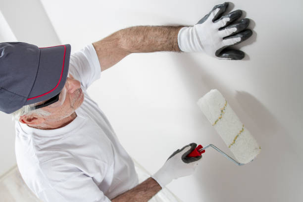 Mold Odor Removal Services in Auburn, NY